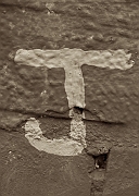 Wall_Art_Alphabet_Photography_Art_ 1107